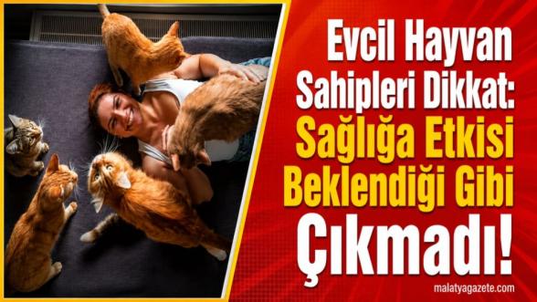Evcil Hayvan Sahipleri Dikkat: Sağlığa Etkisi Beklendiği Gibi Çıkmadı!