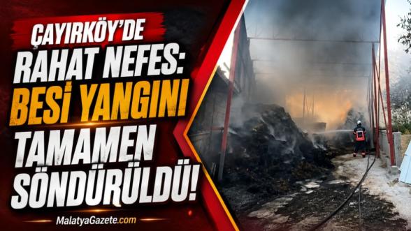 Çayırköy'de Rahat Nefes: Besi Yangını Tamamen Söndürüldü!