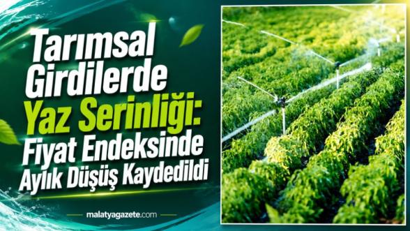 Tarımsal Girdilerde Yaz Serinliği: Fiyat Endeksinde Aylık Düşüş Kaydedildi