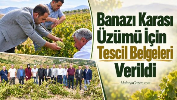 Banazı Karası Üzümü İçin Tescil Belgeleri Verildi