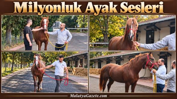Milyonluk Ayak Sesleri